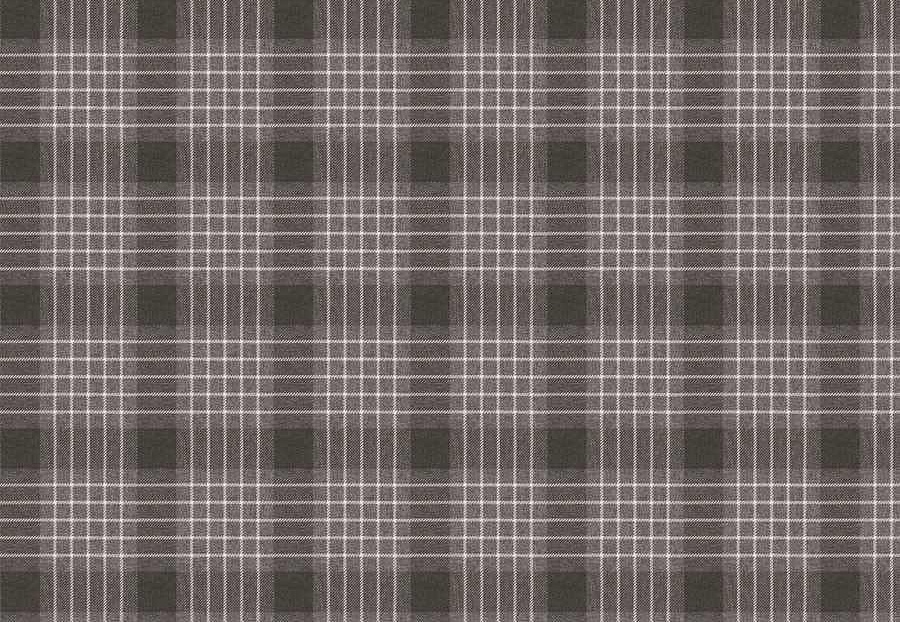 Ткань Fabricut Natural Nuances Vignettes Java Durian/Pewter