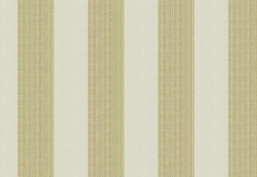 Ткань Fabricut Natural Nuances Vignettes Java TaikaStripe/Endive