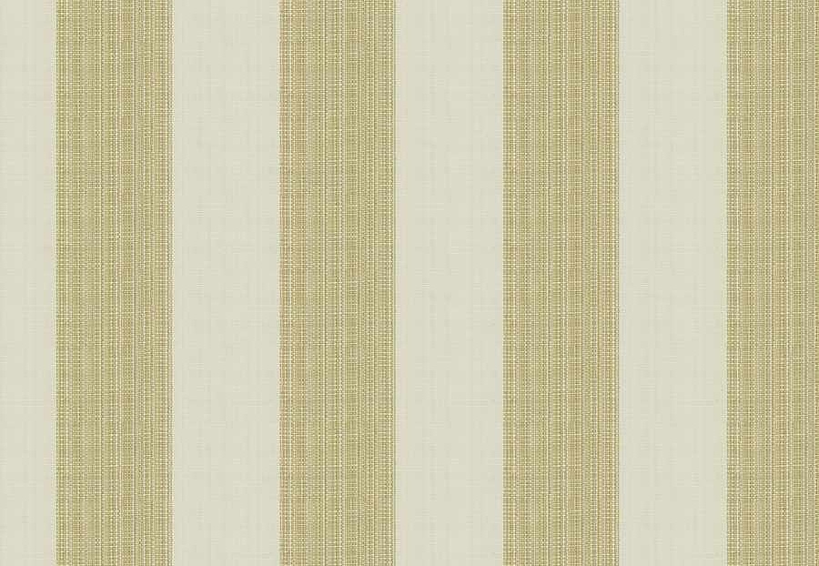 Ткань Fabricut Natural Nuances Vignettes Java TaikaStripe/Endive