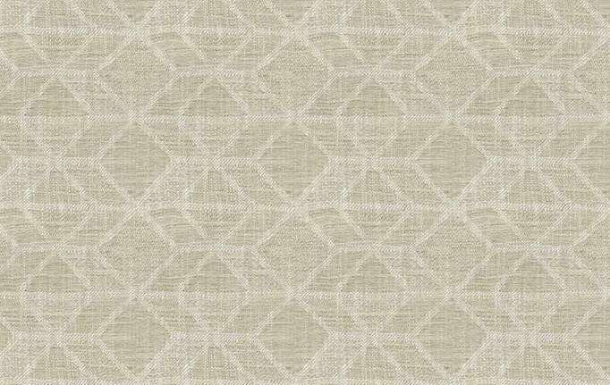 Американская ткань Fabricut, коллекция Natural Nuances Vignettes Java, артикул Sundari/Cashmere