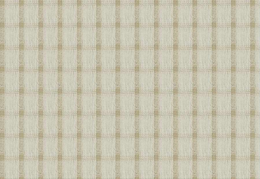 Ткань Fabricut Natural Nuances Vignettes Java OsageCheck/Natural