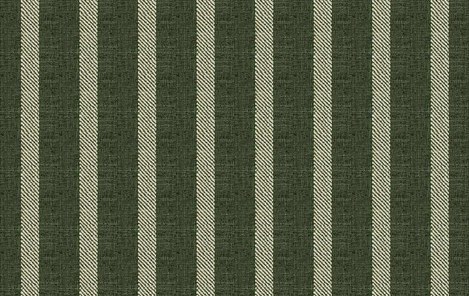 Американская ткань Fabricut, коллекция Natural Nuances Vignettes Juniper, артикул ClaymontStripe/Kale