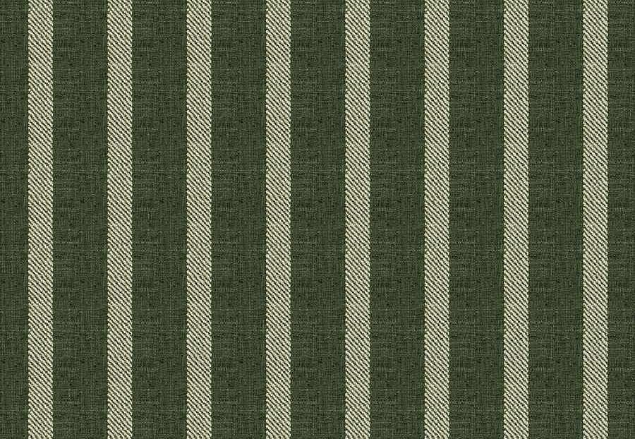 Ткань Fabricut Natural Nuances Vignettes Juniper ClaymontStripe/Kale