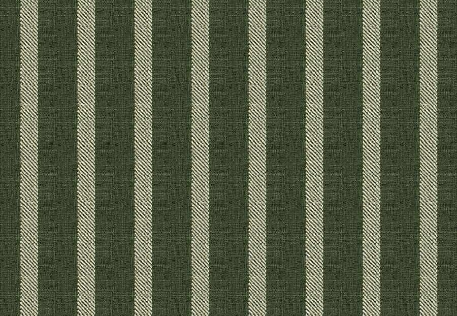 Ткань Fabricut Natural Nuances Vignettes Juniper ClaymontStripe/Kale