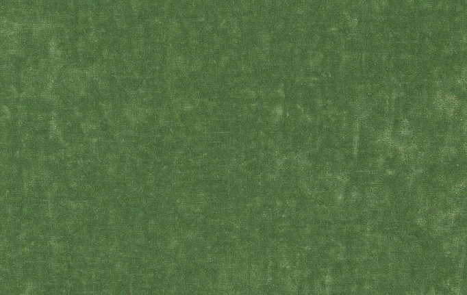 Нидерландская ткань Chivasso, коллекция Carlucci di Chivasso Sensual Velvet, артикул CA1639/030