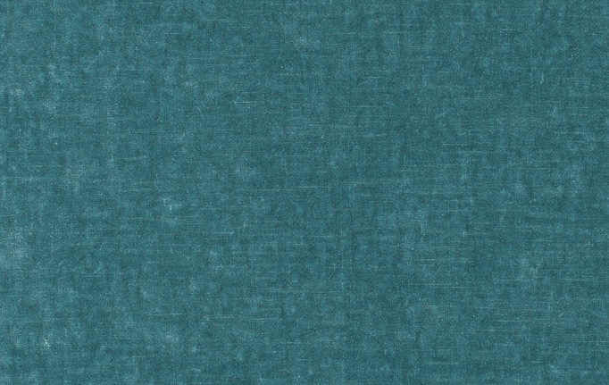 Нидерландская ткань Chivasso, коллекция Carlucci di Chivasso Sensual Velvet, артикул CA1639/086