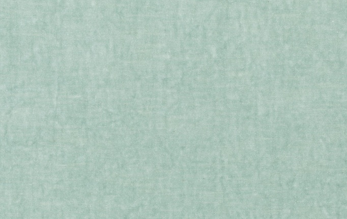 Нидерландская ткань Chivasso, коллекция Carlucci di Chivasso Sensual Velvet, артикул CA1639/085