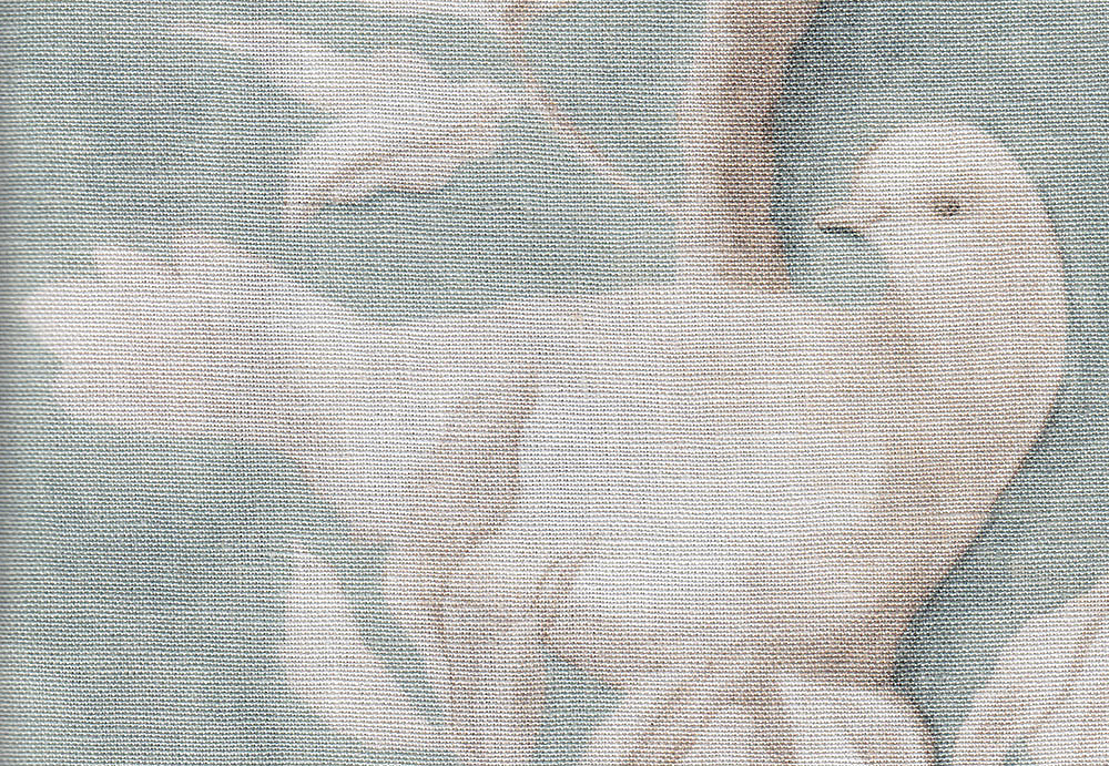 Ткань Lewis & Wood Adam's eden fabric LW217346