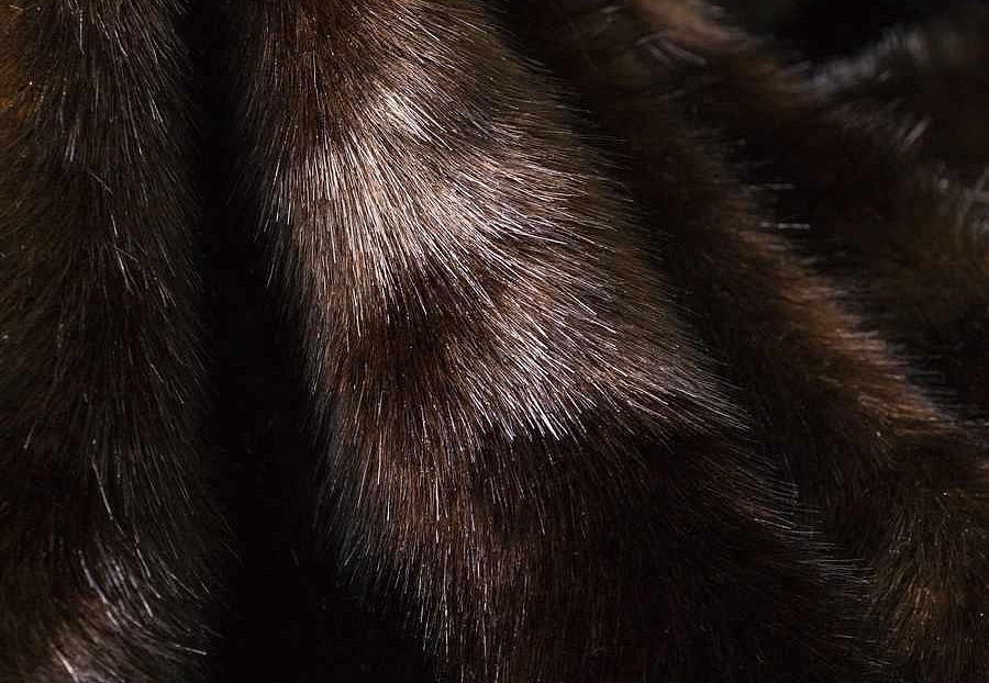 Ткань Fabricut Iris Apfel StarletFur/Mink