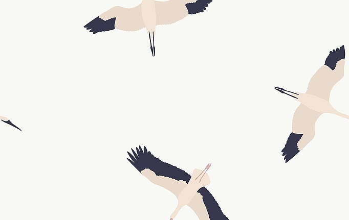 Российская ткань Marufabrics, коллекция Collection 2, артикул Crane