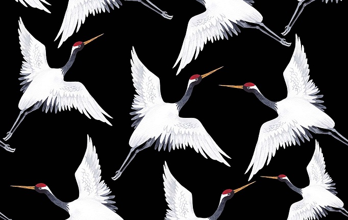 Российская ткань Marufabrics, коллекция Collection 2, артикул FlightBlack
