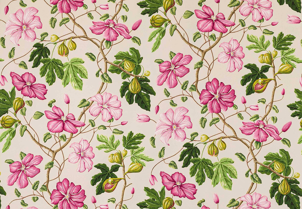 Ткань Manuel Canovas Castellane M4098/02