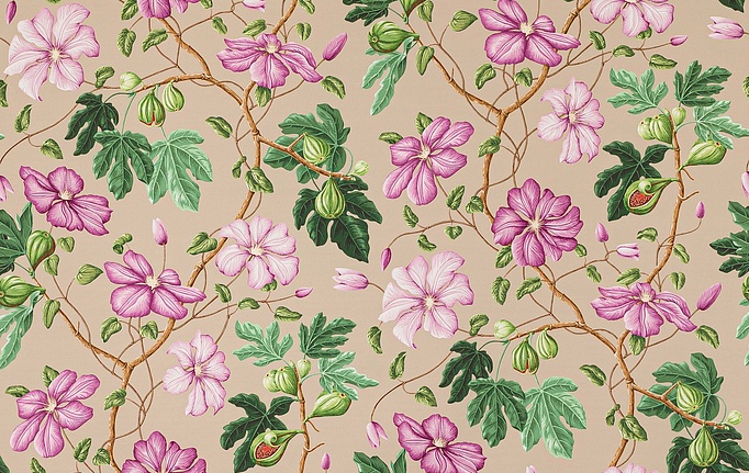 Французская ткань Manuel Canovas, коллекция Castellane, артикул M4098/04