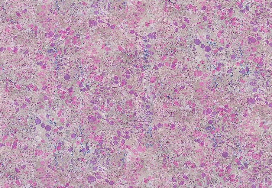 Ткань Designers Guild Majolica FDG2688/01