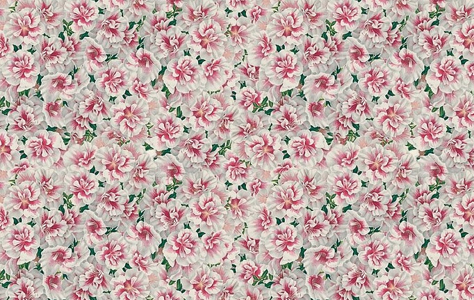 Английская ткань Designers Guild, коллекция Picture Book Prints, артикул FJD6000/01