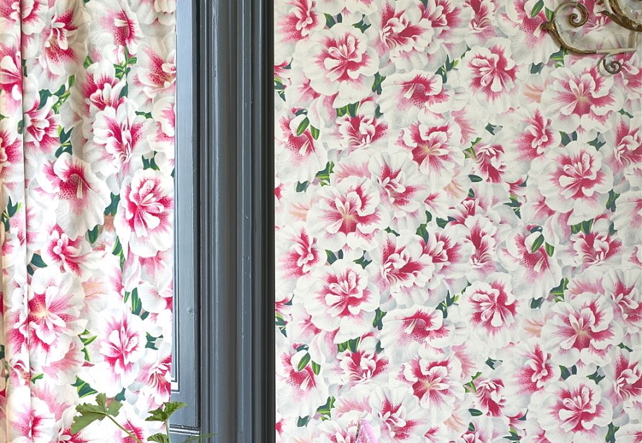 Ткань Designers Guild Picture Book Prints FJD6000/01