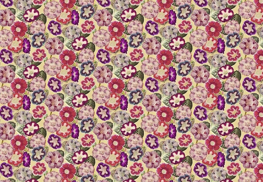 Ткань Designers Guild Picture Book Prints FJD6001/01