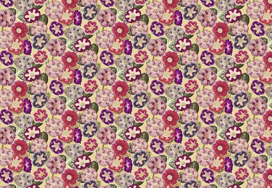 Ткань Designers Guild Picture Book Prints FJD6001/01