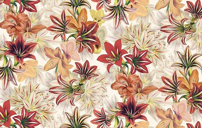 Английская ткань Designers Guild, коллекция Picture Book Prints, артикул FJD6002/01