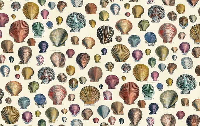 Английская ткань Designers Guild, коллекция Picture Book Prints, артикул FJD6003/01
