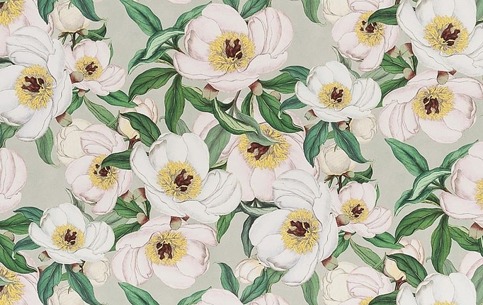 Английская ткань Designers Guild, коллекция Picture Book Prints, артикул FJD6004/01