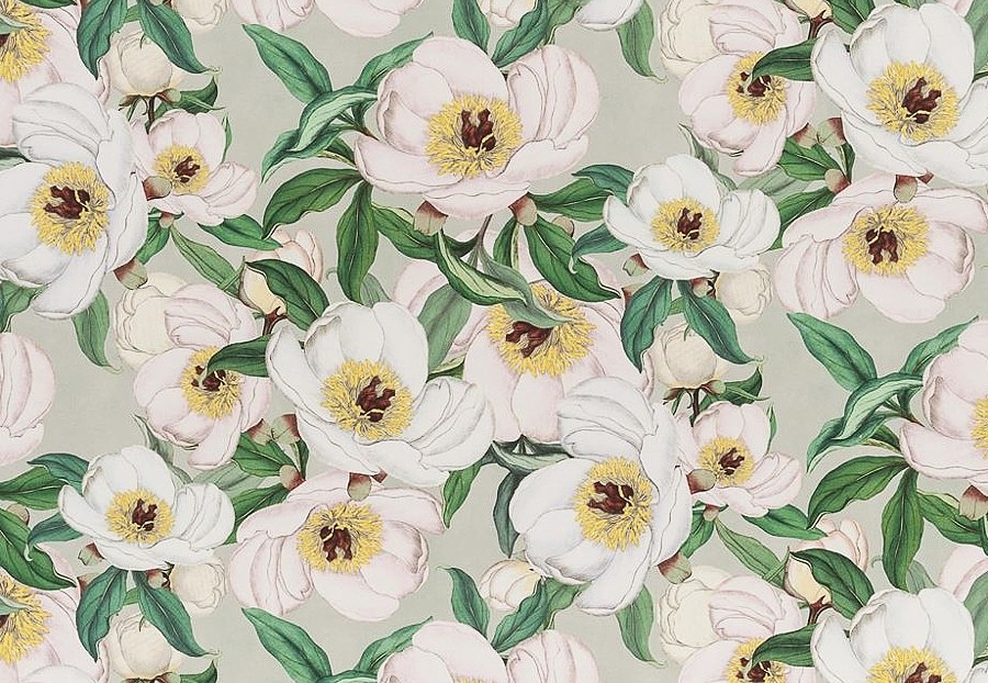 Ткань Designers Guild Picture Book Prints FJD6004/01