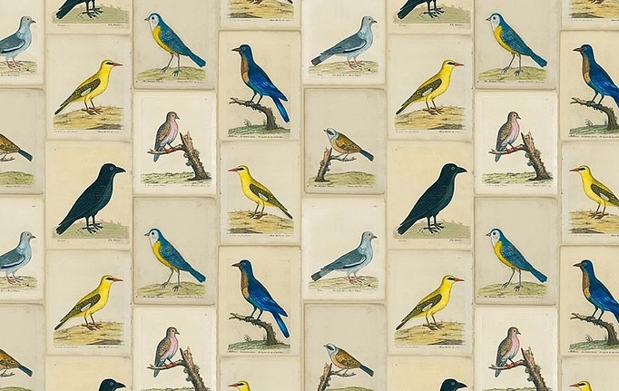 Английская ткань Designers Guild, коллекция Picture Book Prints, артикул FJD6005/01
