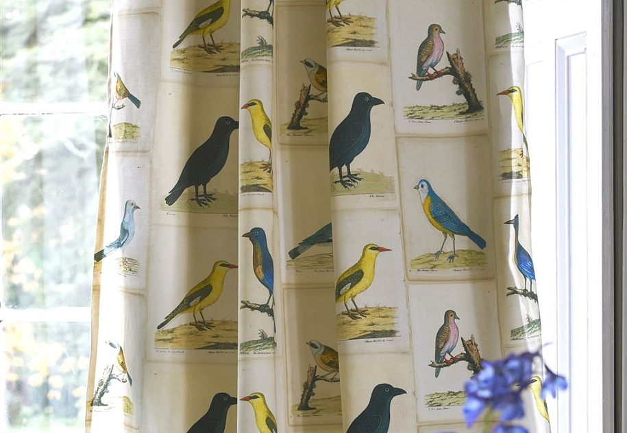 Ткань Designers Guild Picture Book Prints FJD6005/01