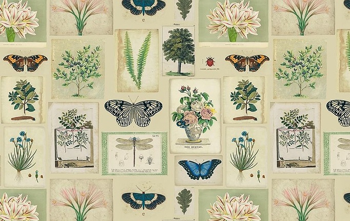 Английская ткань Designers Guild, коллекция Picture Book Prints, артикул FJD6007/01