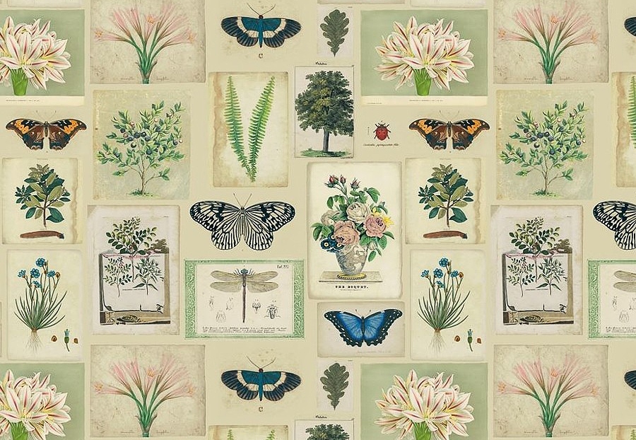 Ткань Designers Guild Picture Book Prints FJD6007/01