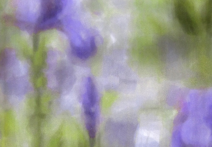 Ткань Galleria Arben Digital Art Iris/01
