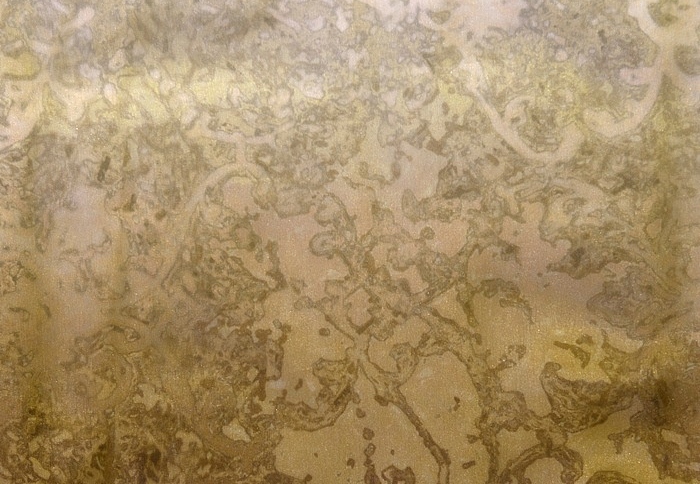 Ткань Galleria Arben Digital Art Patina/03