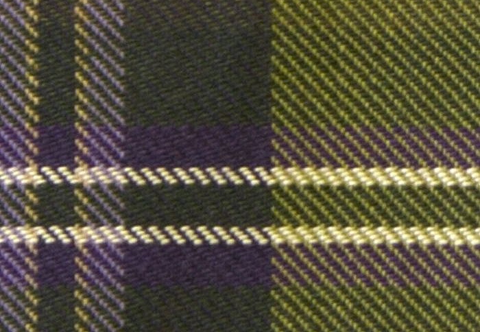 Ткань Galleria Arben Pheasant Hunt Sticky Wicket/Tartan