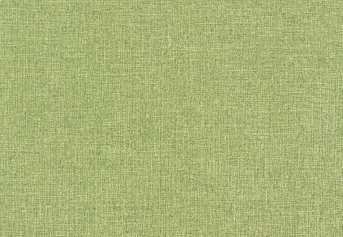 Ткань Galleria Arben Nightfall Baryon/dim out/25/Lime