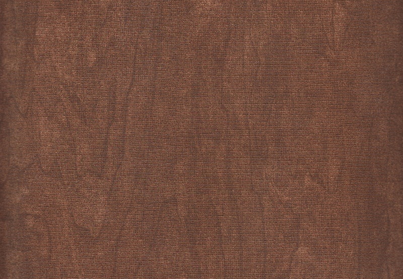 Обои Mahieu The Cameleon Roxy Wood