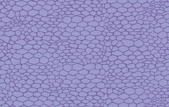 Американская ткань Duralee, коллекция Eileen K. Boyd Vol.2 - Pewter, African Violet, артикул 15654/95