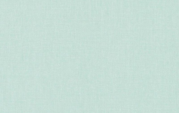 Американская ткань Duralee, коллекция Pine Valley Solids, артикул 32770/619