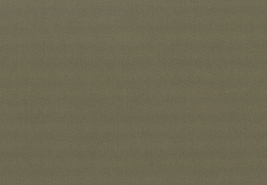 Ткань Elitis Smile 2 LF 330 69
