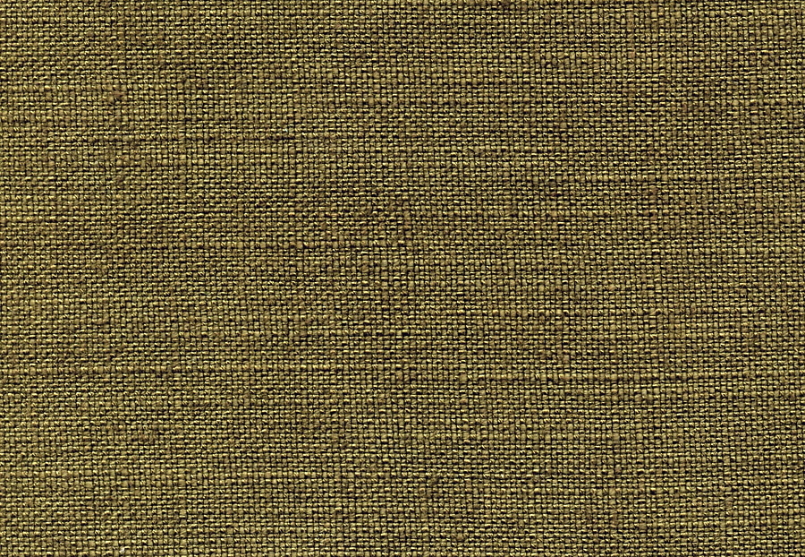 Ткань Elitis Solo LI 417 68