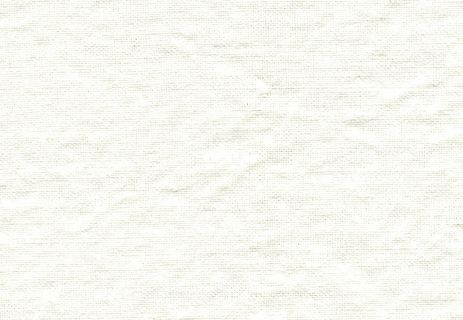 Ткань Elitis Stucco LI 416 01