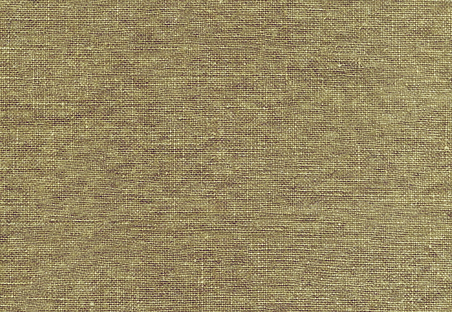 Ткань Elitis Stucco LI 416 21