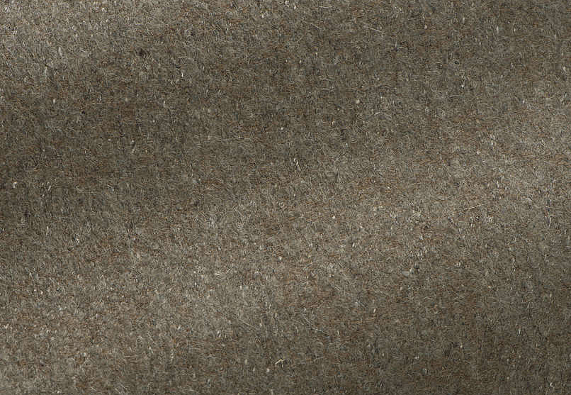 Ткань Pierre Frey Dandy F2946003/003