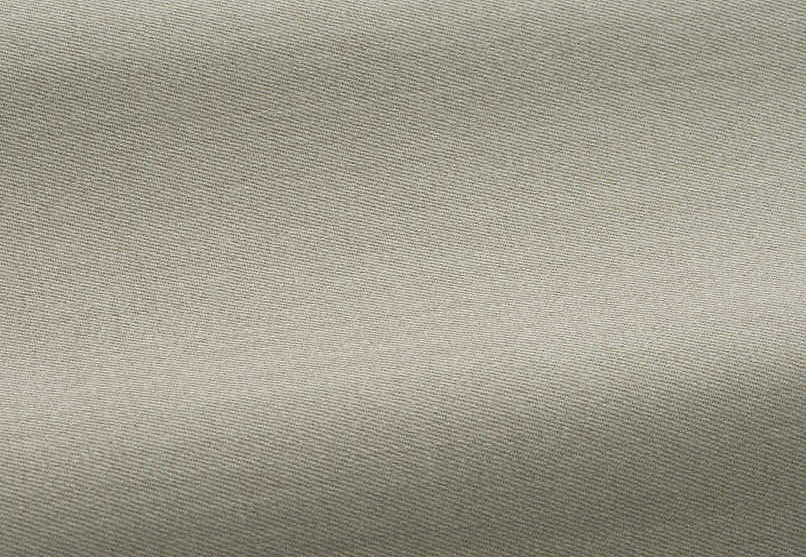 Ткань Pierre Frey Dandy F2944006/006