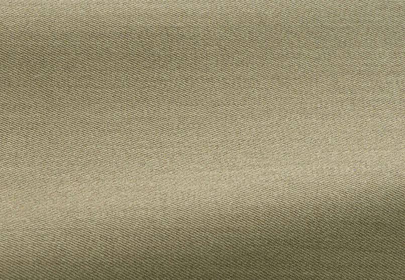 Ткань Pierre Frey Dandy F2944007/007