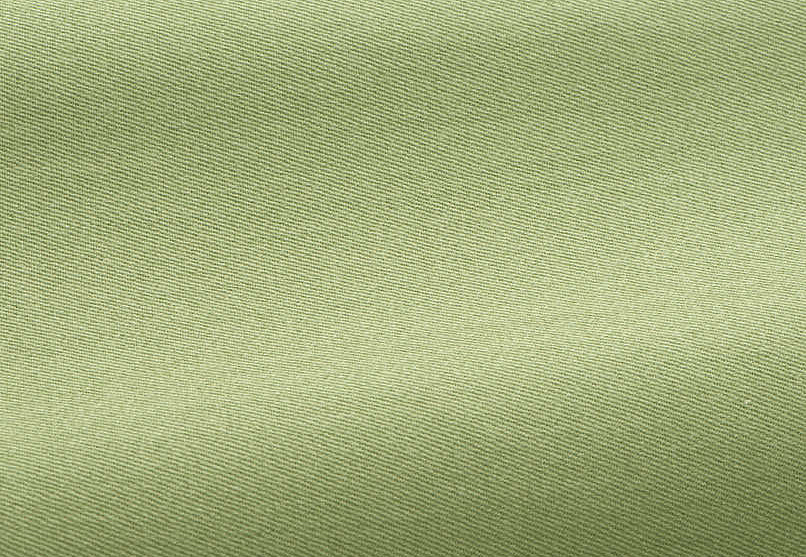 Ткань Pierre Frey Dandy F2944015/015