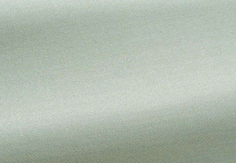 Ткань Pierre Frey Dandy F2944020/020