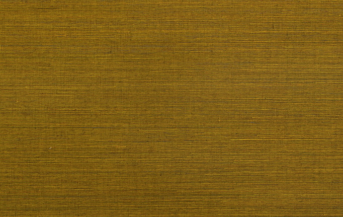 Бельгийские обои Omexco, коллекция Jungle, артикул JUA315