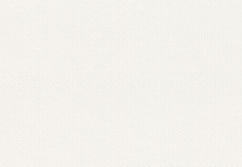 Обои Rasch Petit Fleur 4 288802