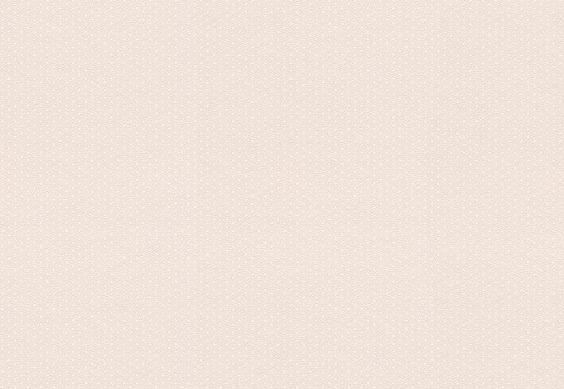 Обои Rasch Petit Fleur 4 288857