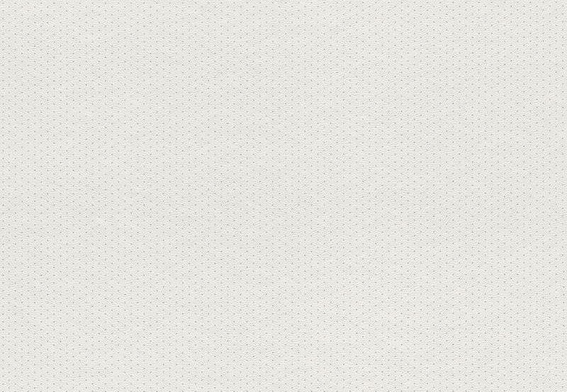 Обои Rasch Petit Fleur 4 288970